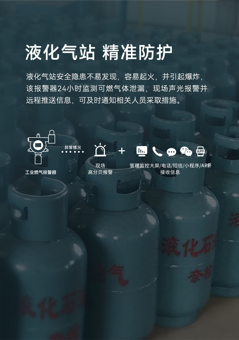 工業(yè)型可燃?xì)怏w探測(cè)器-GYT-HF-911NB詳情頁(yè)-790P_04.jpg